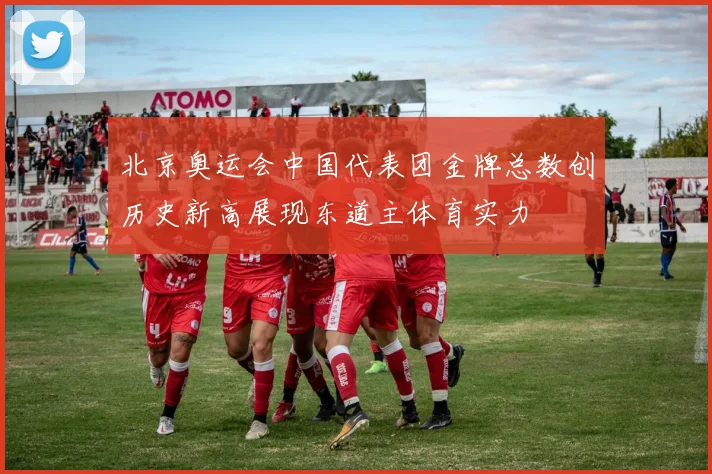 北京奥运会中国代表团金牌总数创历史新高展现东道主体育实力